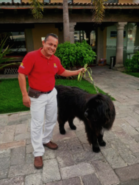 service-pet-friendly-in-puerto-vallarta-vip-vallarta-transportation