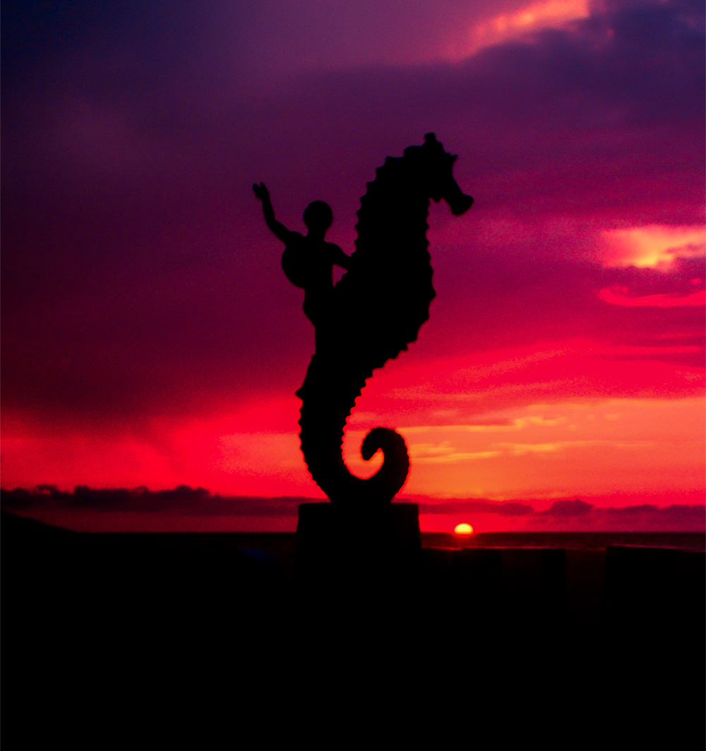 vip-vallarta-transportation-about-us-puerto-vallarta-jalisco-mexico-services-in-transportation-services-vip